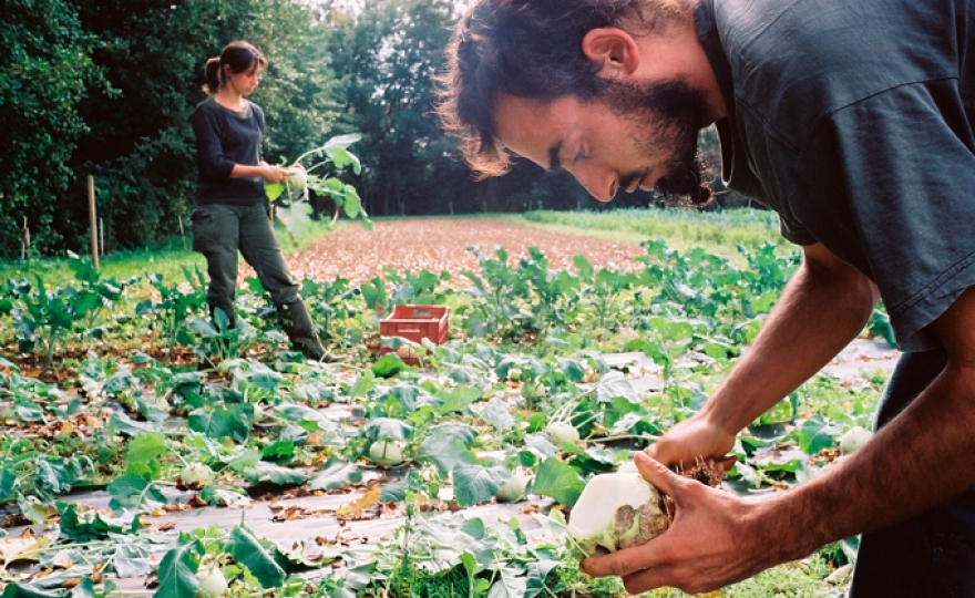 Insérer des exclus : quelle école de management ! L’expérience fondatrice des Jardins de Cocagne