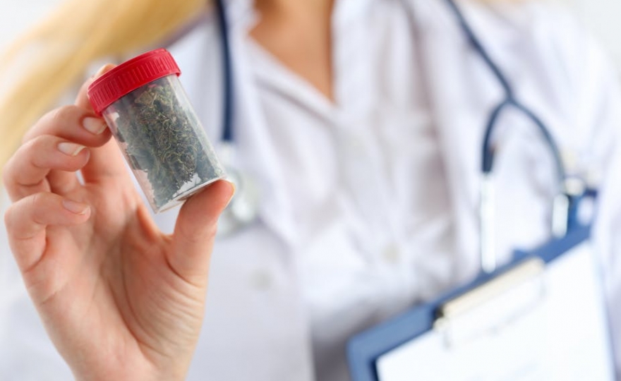 Cannabis à usage médical : la France engage officiellement la réflexion