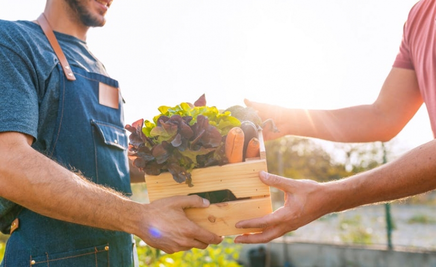 Novembre, mois de l’économie sociale et solidaire… donc de l’utopie ?