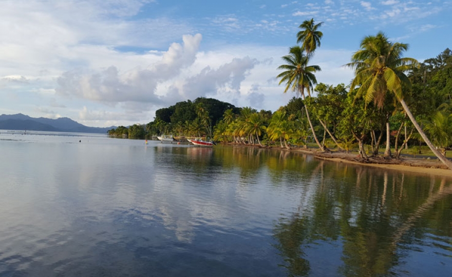 Tout quitter pour les îles : simple tocade ou véritable phénomène sociétal ?