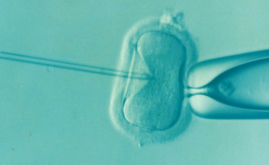 Loi relative à la bioéthique : entre avancées, renoncements et désillusions, ce qu’il faut retenir