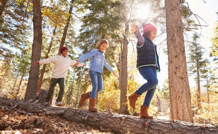 Comment les enfants choisissent-ils leurs amis ?